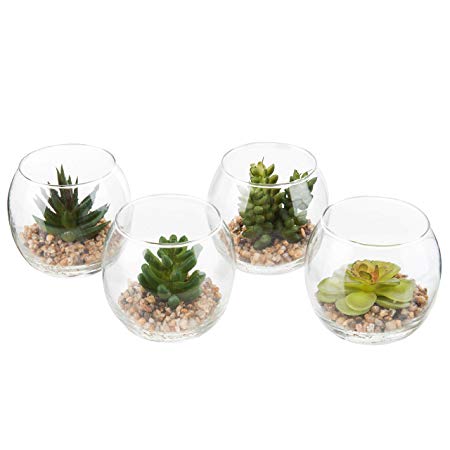 MyGift Set of 4 Decorative Mini Desktop Artificial Succulent Plants in Round Glass Display Vases (Assortment 2)