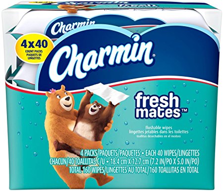Charmin Freshmates Flushable Wipes - 160 ct