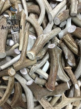 ANTLER MAN® Premium Deer Antler Pieces - Dog Chews - Antlers By The Pound