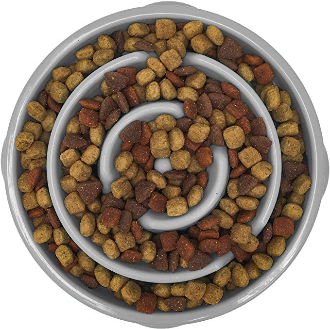 Animal Planet Dog Bowl - Slow Maze Feeder Pet Dog Bowl for Small & Medium Dogs, Aids in Digestive Health and Weight Control, Fits 2 Cups of kibble for Calorie Control