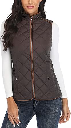 Dilgul Women Padded Vest Stand Collar Zip Up Trendy Puffer Lightweight Quilted Vest