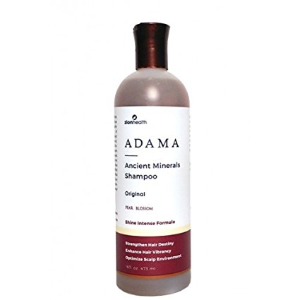 Zion Health Adama Clay Minerals Shampoo, 16 Fluid Ounce