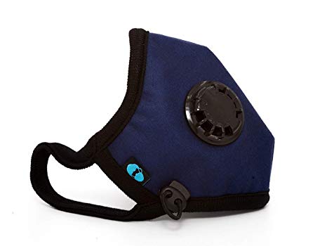 Cambridge Mask Company Basic N95 Washable Anti Pollution Respirator with Adjustable Straps