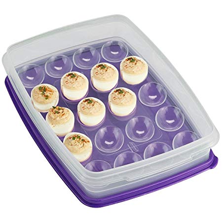 Rubbermaid Egg Keeper Food Storage Container with Purple Lid