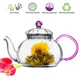 Tea Beyond Heat resistant Glass Teapot Juliet 20-Ounce
