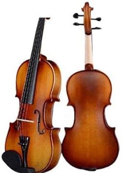 D Z Strad Violin Model 100 with Solid Wood with Case, Bow, and Rosin (4/4 - Full Size)