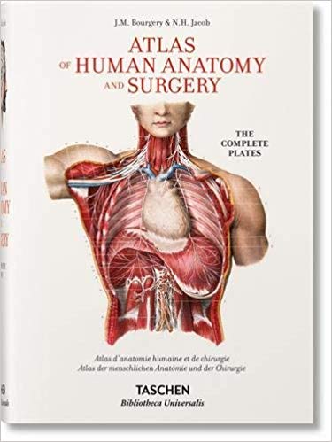 Bourgery: Atlas of Anatomy and Surgery, 2 Vol. by Jean-Marie Le Minor (2012-05-27)