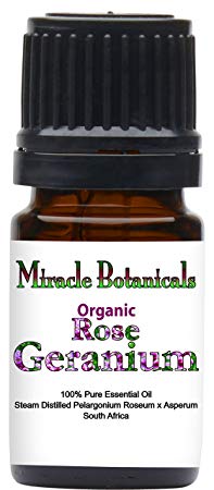 Miracle Botanicals Organic Rose Geranium Essential Oil - 100% Pure Pelargonium Roseum x Asperum - Therapeutic Grade - 5ml