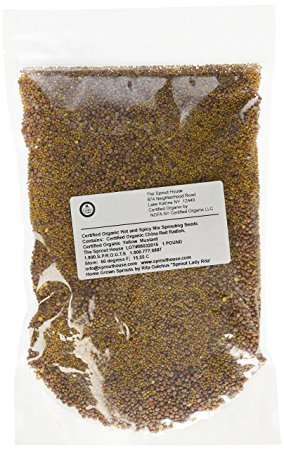 The Sprout House HOT and Spicy 1 Pound Certified Organic Non-gmo Sprouting Seeds Yellow Mustard and Red Radish