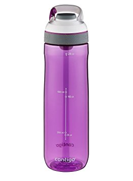 Contigo Cortland Water Bottle, 24-Ounce, Radiant Orchid