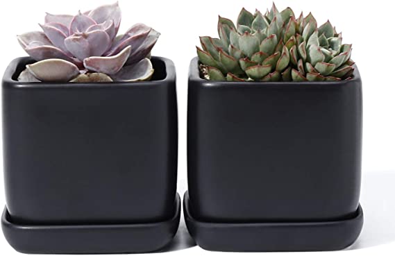 POTEY 051102 Succulent Pot with Drainage Hole & Saucer - 3.5 Inch Glazed Ceramic Square Small Planters Indoor for Plants Cactus Succulent(Matte Black, Set of 2, Plants NOT Included)