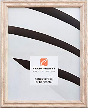 Craig Frames 200ASHWW 20 by 30-Inch Picture Frame, Wood Grain Finish, 0.75-Inch Wide, Whitewash