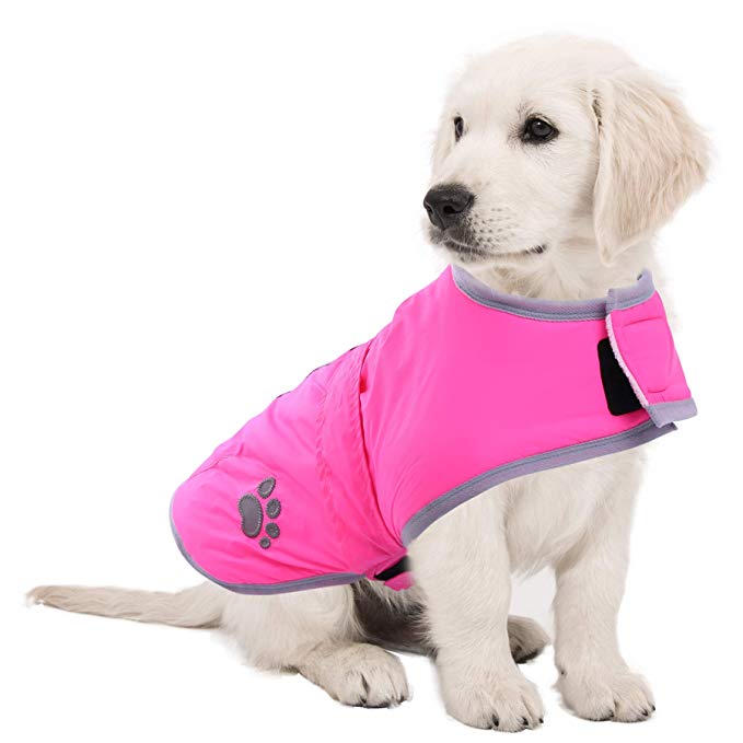 ASENKU Cold Weather Dog Coat for Winter Reflective Reversible Dog Warm Fleece Jacket Waterproof Windproof Dog Vest for Small Medium Large Dogs