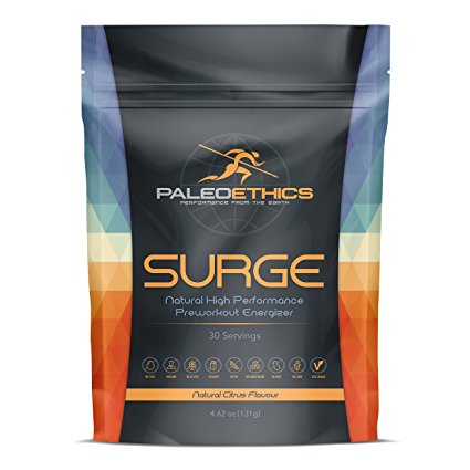 PALEOETHICS Surge Natural High Performance Paleo Friendly Pre Workout, Natural Citrus Flavor, 4.62 oz, 131 grams