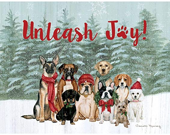 LANG Unleash Joy Boxed Christmas Cards (1004843)