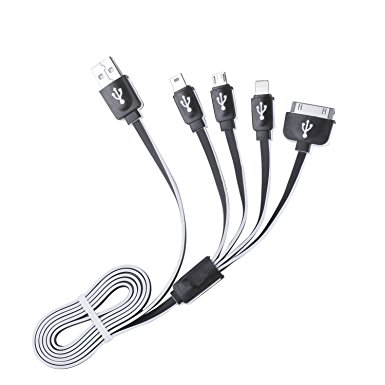 (Black/White) 4 in 1 Multi Charger, Multi USB Charger Cable (connector/adaptor), Premium Quality 4 in 1 Multiple USB Charging Cable Adapter Connector with Lightning and Micro USB for iPhone 6/6s, 6 Plus/ 6s Plus, 5/ 5S/ 5C/ SE, 4G/3G, iPad 2/3/4, iPad Air, iPad Mini, iPad 4th Gen, iPod Touch 5th Gen, iPod Nano 7th Gen, Samsung, HTC, LG, Sony, Blackberry, Power Bank, External Battery, Car Charger, and More (BLACK/WHITE)