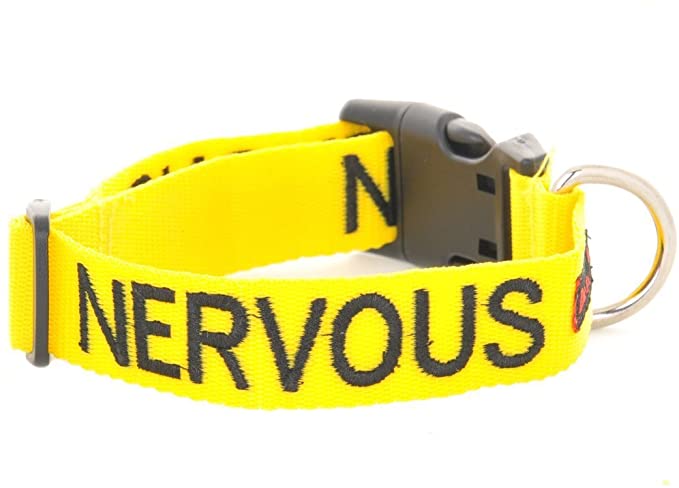 Dexil Limited Nervous Yellow Color Coded S-M L-XL Buckle Dog Collar (Give Me Space) Prevents Accidents by Warning Others of Your Dog in Advance