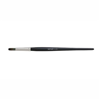 Sensu Solo Stylus Slate-The Best Digital Stylus and Paintbrush for use with the I-Pad or Tablet