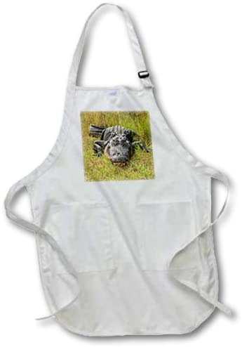 3dRose apr_62494_1 Even Larger Florida Gator-Full Length White Apron with Pockets, 22 by 30-Inch