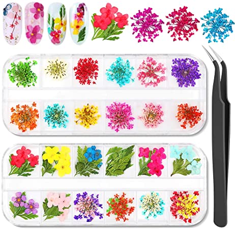 HAPYTHDA Nail Dried Flowers, 2 Boxes 3D Nail Art Sticker Decals, 24 Colors Real Natural Small Pressed Dried Flowers Nail Art Decorations Supplies with Starry,Leaves and Five Flower