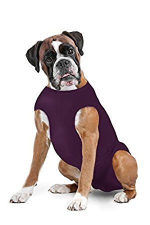 Washable Disposable Dog Diapers Keeper - For Male and Female Dogs - Wrap Around Legs for Superior Fit - Fits Puppies To Adult Dogs - A Simple Solution To An Everyday ProblemFits All Sizes