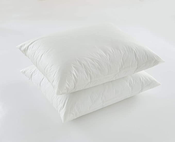 BARGOOSE | Vinyl Zippered Pillow Protector - Bed Bug Proof | Waterproof | ALLERGEN Barrier | 21 X 27 Standard - 2 Pack