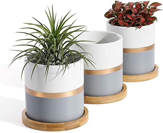 POTEY 055403 Succulent Pots Set - 3.1 Inches Ceramic Small Planters with Bamboo Saucer for Plants Succulent Cactus House Office Decor(White Grey, 3 PCS, Plant NOT Included)