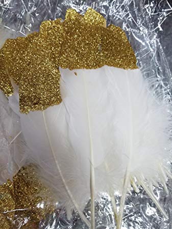 Sowder Natural Goose Feathers Clothing Accessories Pack of 100 (White and Gold)