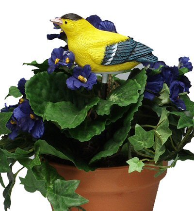 Singing Goldfinch - Plant Pal Soil Moisture Meter (Finch Sings When Plant Is Thirsty!)