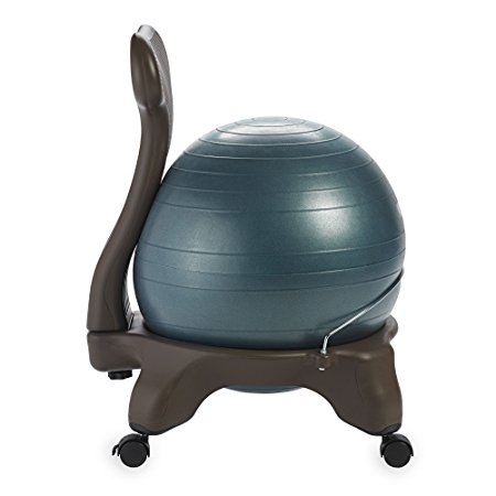 Gaiam Balance Ball Chairs