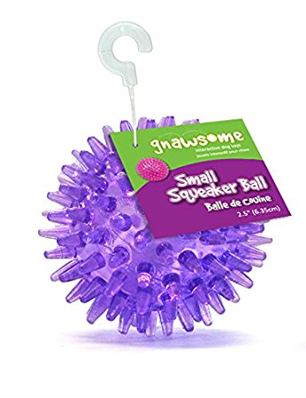 ROYAL PET Gnawsome TPR Squeaker Ball for Dogs, 2.5-Inch, Various Colors