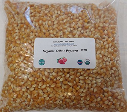 Popcorn Seeds, 10 lbs (ten pounds), Yellow, Kernels, USDA Certified Organic, Non-GMO, BULK.