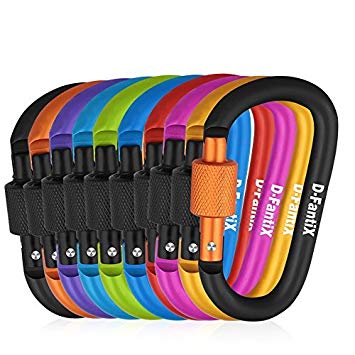 D-FantiX Aluminum D-Ring Locking Carabiner Keychain Spring Clip Lock Carabiner Hook Outdoor Camping Equipment Pack of 10