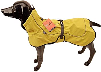 BLACKDOGGY Small Puppy Warm Cozy Coats Waterproof Sport Vest Jackets丨Premium Outdoor Sport丨Windproof Warm For Cold Weather丨Dog Coat With Harness Hole Yellow Size M