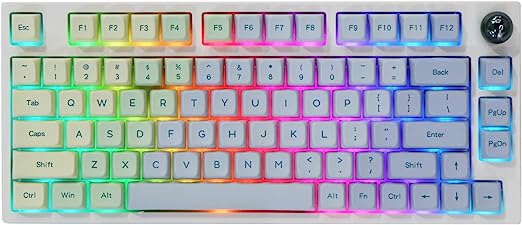 EPOMAKER TH80 Pro 75% Hot Swap RGB 2.4Ghz/Bluetooth 5.0/Wired Mechanical Keyboard with MDA PBT Keycaps, 4000mah Capacity Battery, Knob Control for Windows/Mac(Monet TH80 Pro, Budgerigar Switch)