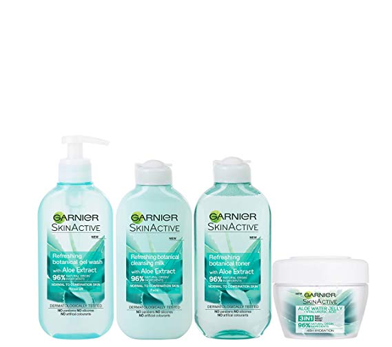 Garnier Natural Aloe Extract Skin Care Regime Kit (4-Piece)