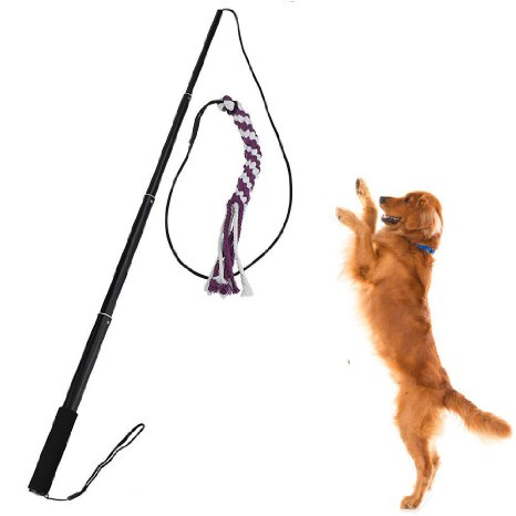 Sanzang Outdoor Interactive Dog Toys Extendable Flirt Pole Funny Chasing Tail Teaser and Exerciser for Pets (L, Black)