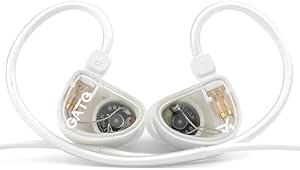 TRUTHEAR GATE Dynamic Driver in-Ear Headphone 3.5mm Interchangeable Headphone Cable Headphone (White, Without mic)