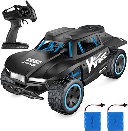 DIZA100 Radio Control Car 2019 Upgrade CVT RC Toy Car 1:18 2WD 2.4 Ghz Remote Control High Speed Off Road Truck with 2 Rechargeable Battery for Kids Adults