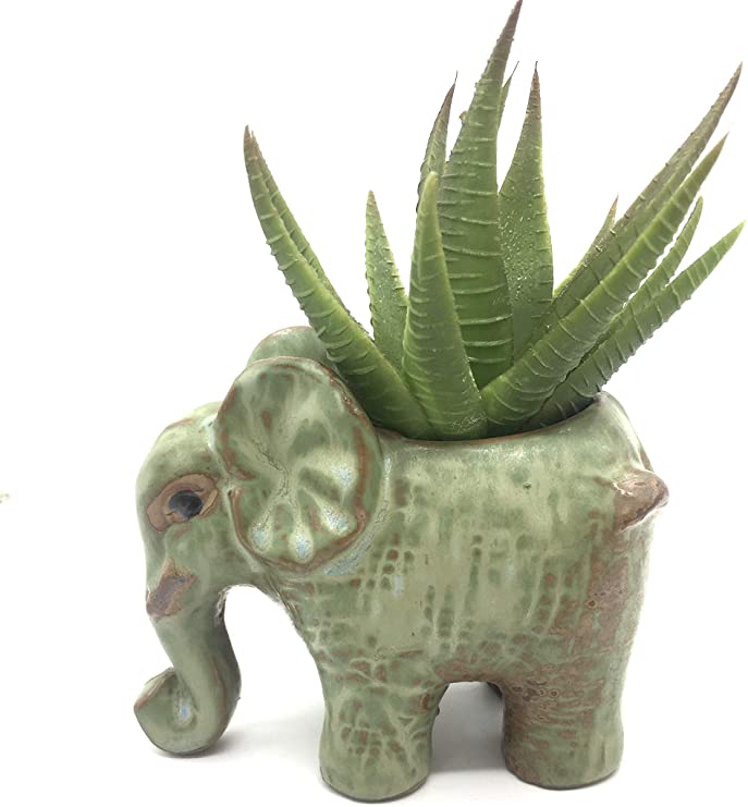 Everyday Better Life Cute Cartoon Animal Elephant Ceramic Succulent Cactus Flower Pot/Plant Pots/Planter/Container for Home Garden Office Desktop Decoration