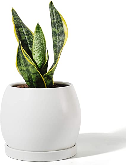 POTEY Ceramic Planter Flower Plant Pot - 5.1” with Drain Hole Saucer-Enough Space - Modern Decorative for Indoor Planters, Light White