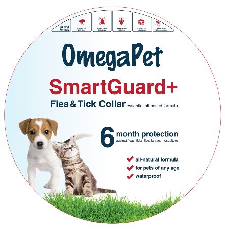 [Pre-Launch Sale] Flea Collar for Dogs - Chemical Free Flea and Tick Prevention for Small or Large Dogs and Cats - Pleasant Citronella Smell - Lasts up to 6 Months - Easy to Apply and Store