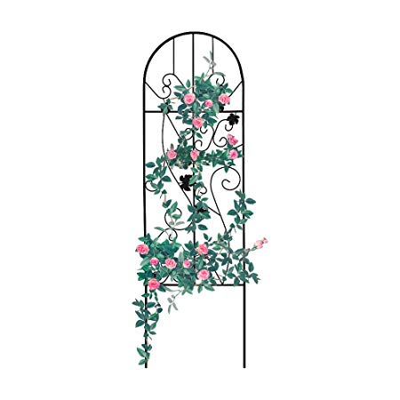 GrayBunny GB-6900BL2, Garden Trellis for Vines and Climbing Plants, Black Metal Wire Lattice Grid Panels for Cucumber & Vegetables, Clematis Support, Rose Vines, Durable & Sturdy Beautiful Plant Decor