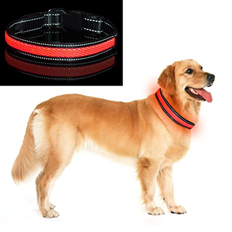 Lystaii LED Dog Collar Leash Usb Cable Charging Collar Usb Rechargeable Led Pet Dog Safety Collar LED Glow & Flash Light Nylon Pet Neck Loop