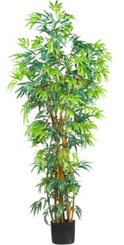 Nearly Natural 5188 Curved Bamboo Silk Tree, 6-Feet, Green