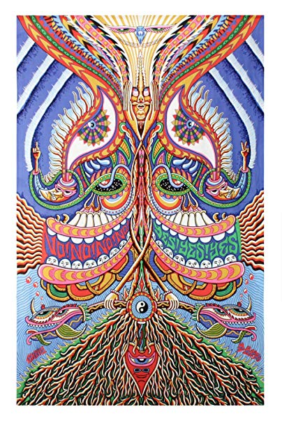 Sunshine Joy 3D Yes Yes Yes No No No Tapestry Hanging Wall Art Beach Wrap - Artwork By Chris Dyer - Amazing 3-D Effects (60X90 inches)
