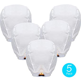 DGSING Chinese Lanterns White Paper Lanterns (Pack of 5) - Great Chinese/Japanese Home, Party & Wedding Decorations