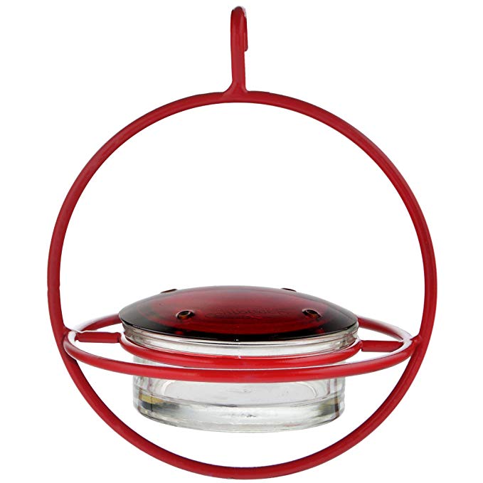 Best Small Glass Hummingbird Feeder with Red Perch - New Bee & Wasp Proof Design - Hummers Love This Feeder!
