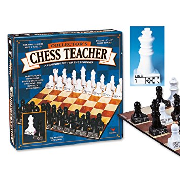 Chess Teacher (styles may vary)