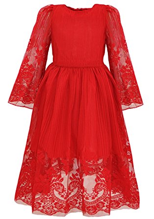 Bonny Billy Girl's Classy Embroidery Lace Maxi Flower Girl Dress